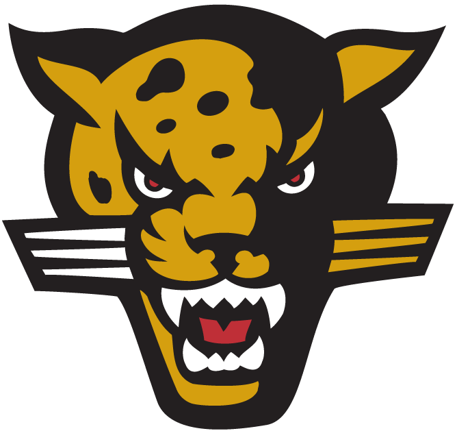 IUPUI Jaguars 2002-2007 Alternate Logo v2 diy fabric transfer